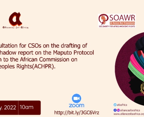 Virtual consultation on the Maputo protocol